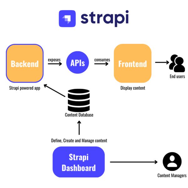 Comment Strapi réduit efficacement le temps de développement côté Back